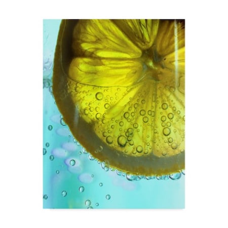 Dana Brett Munach 'Lemon Wheel' Canvas Art,24x32